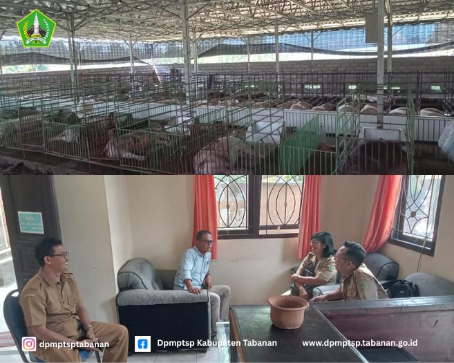 WhatsApp Image 2025-04-28 at 15.28.09